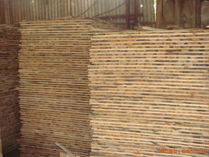 匠心筑夢，木韻流芳——走進駿起木業加工廠