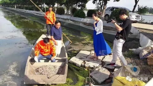 從央視到國(guó)家農(nóng)業(yè)機(jī)構(gòu)點(diǎn)贊 通威魚、海大魚、白蕉海鱸、興化大閘蟹，誰(shuí)更勝一籌？