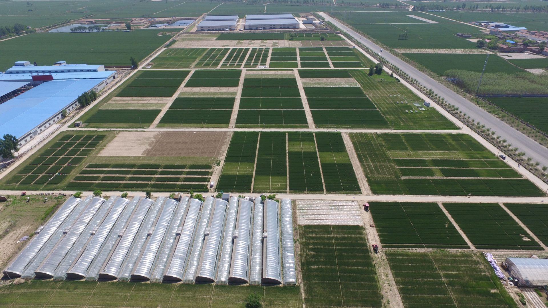 扎根大地育新人 農(nóng)業(yè)技術革新引領愛國奮斗新篇章